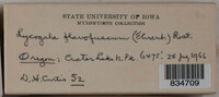 Image Associated With the Occurence
